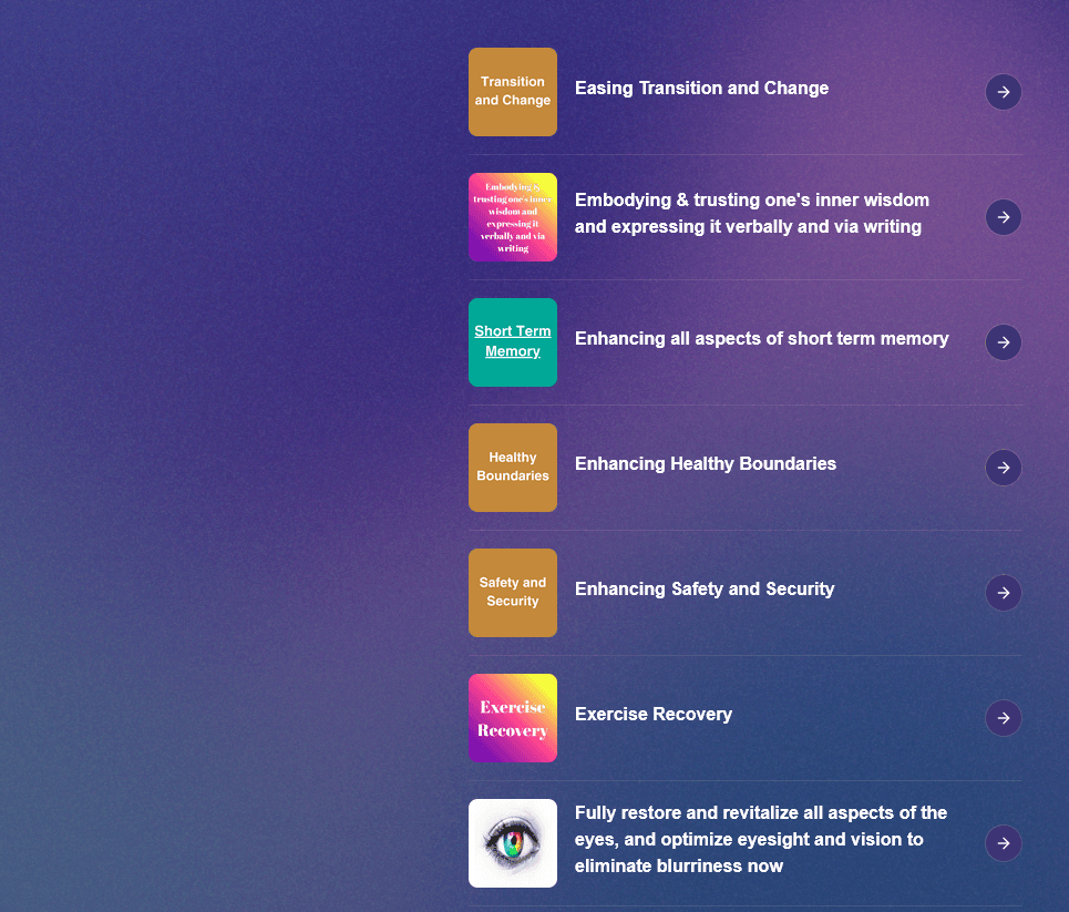 Full-stack developer portfolio project screenshot of Mirsonics Healthcare Platform application